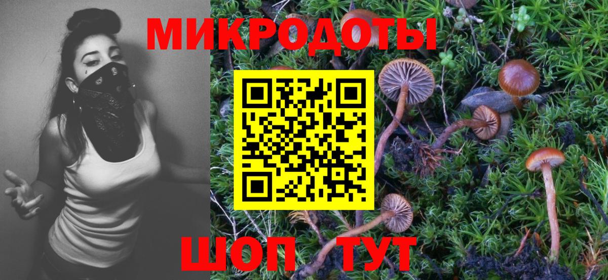 Галлюциногенные грибы прущие грибы Шали