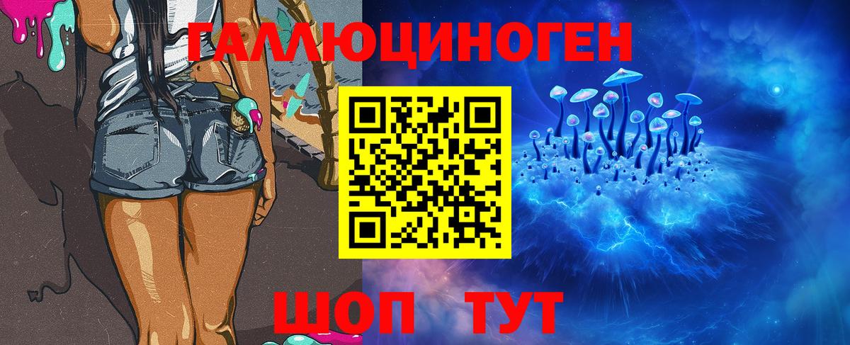 закладки  Псилоцибиновые грибы ЛСД  Вход с VPN  Шали 